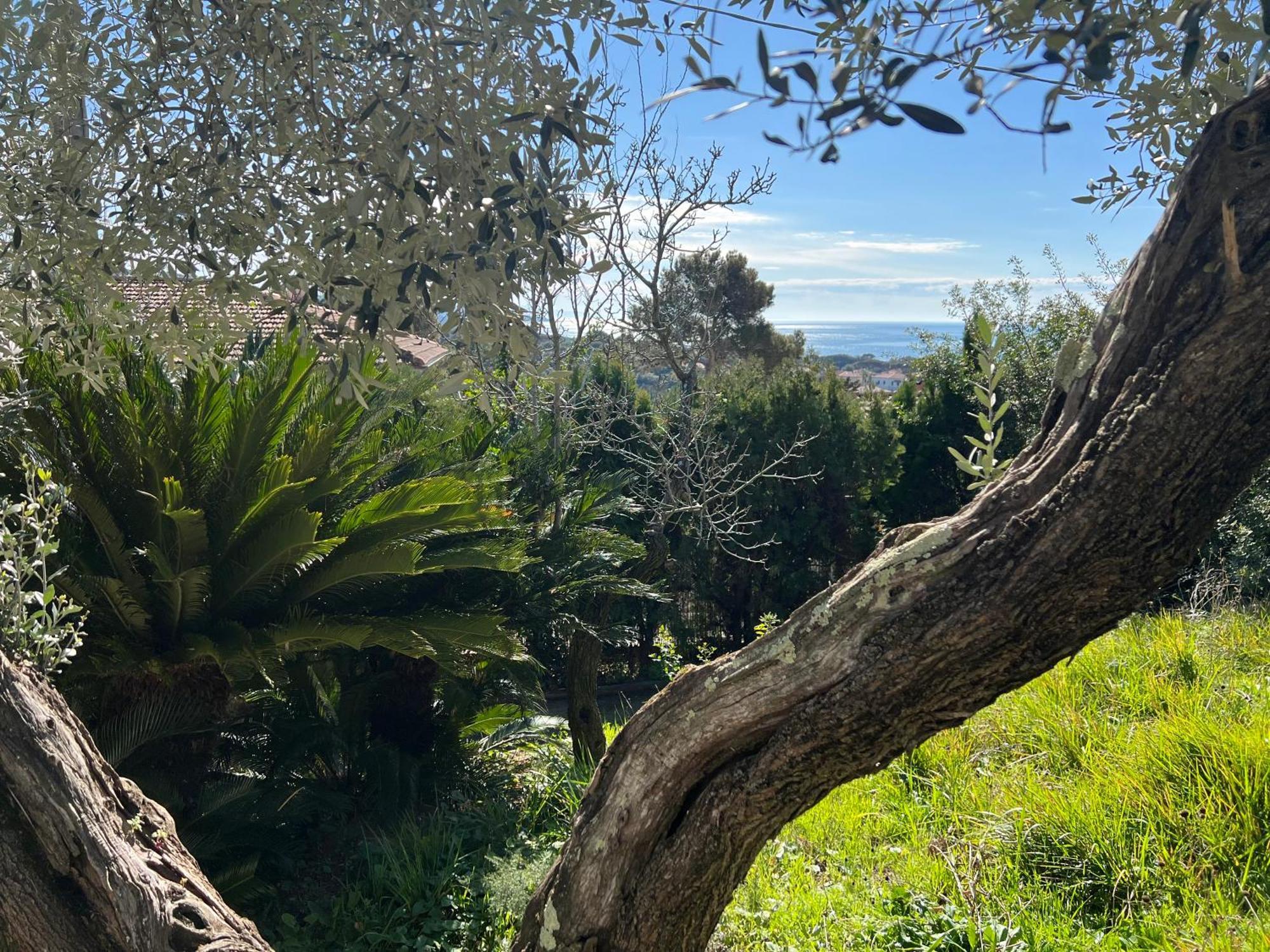 קוורצ'יאנלה Villa Tara מראה חיצוני תמונה